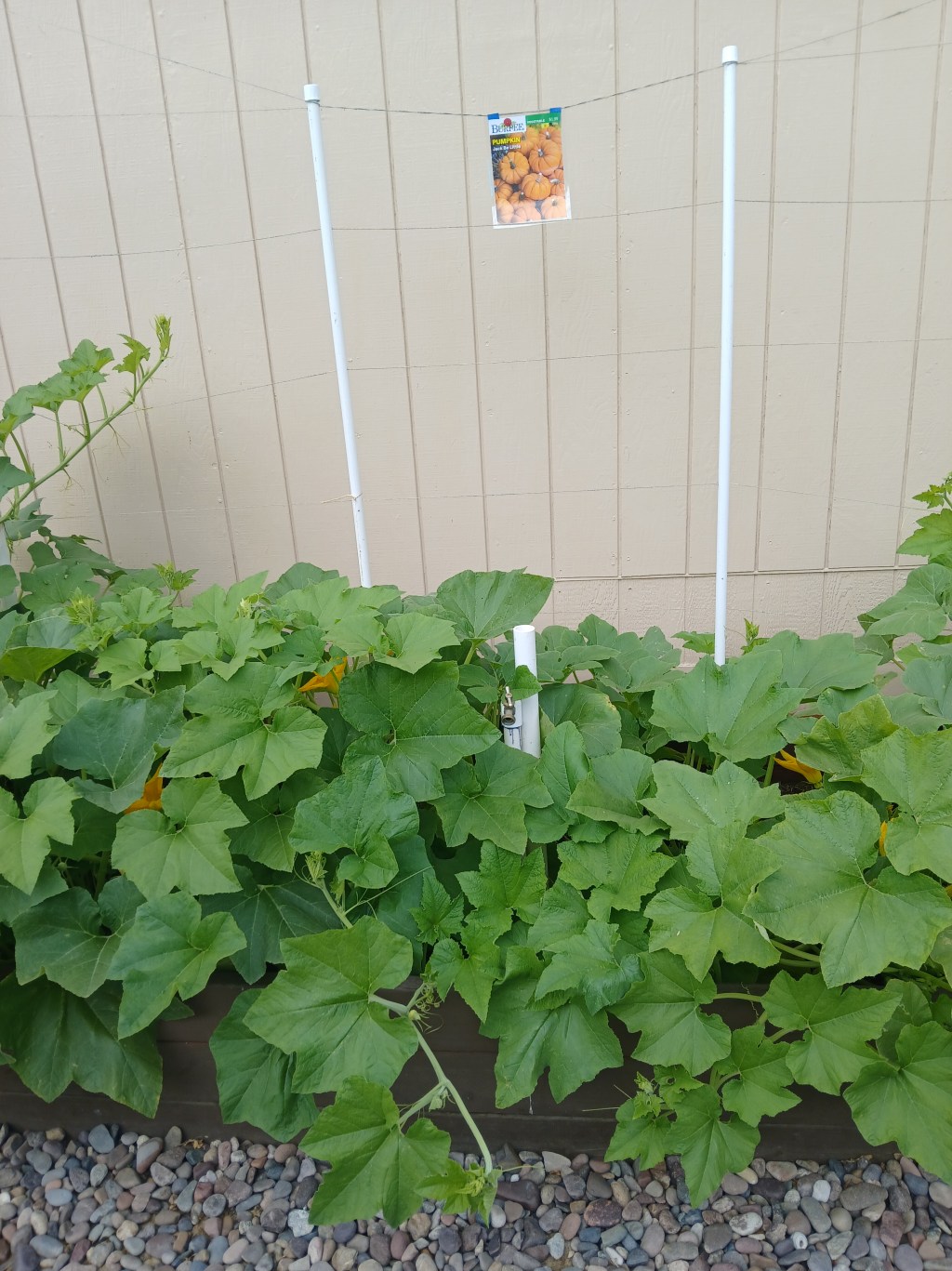 How Pumpkins Teach Us About&nbsp;Faith